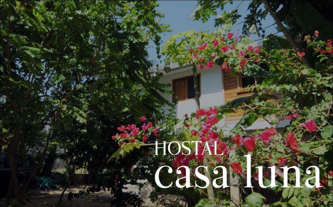 Hostal Casaluna San Andres Экстерьер фото