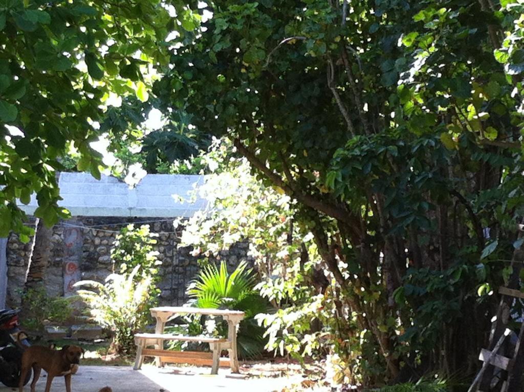 Hostal Casaluna San Andres Экстерьер фото